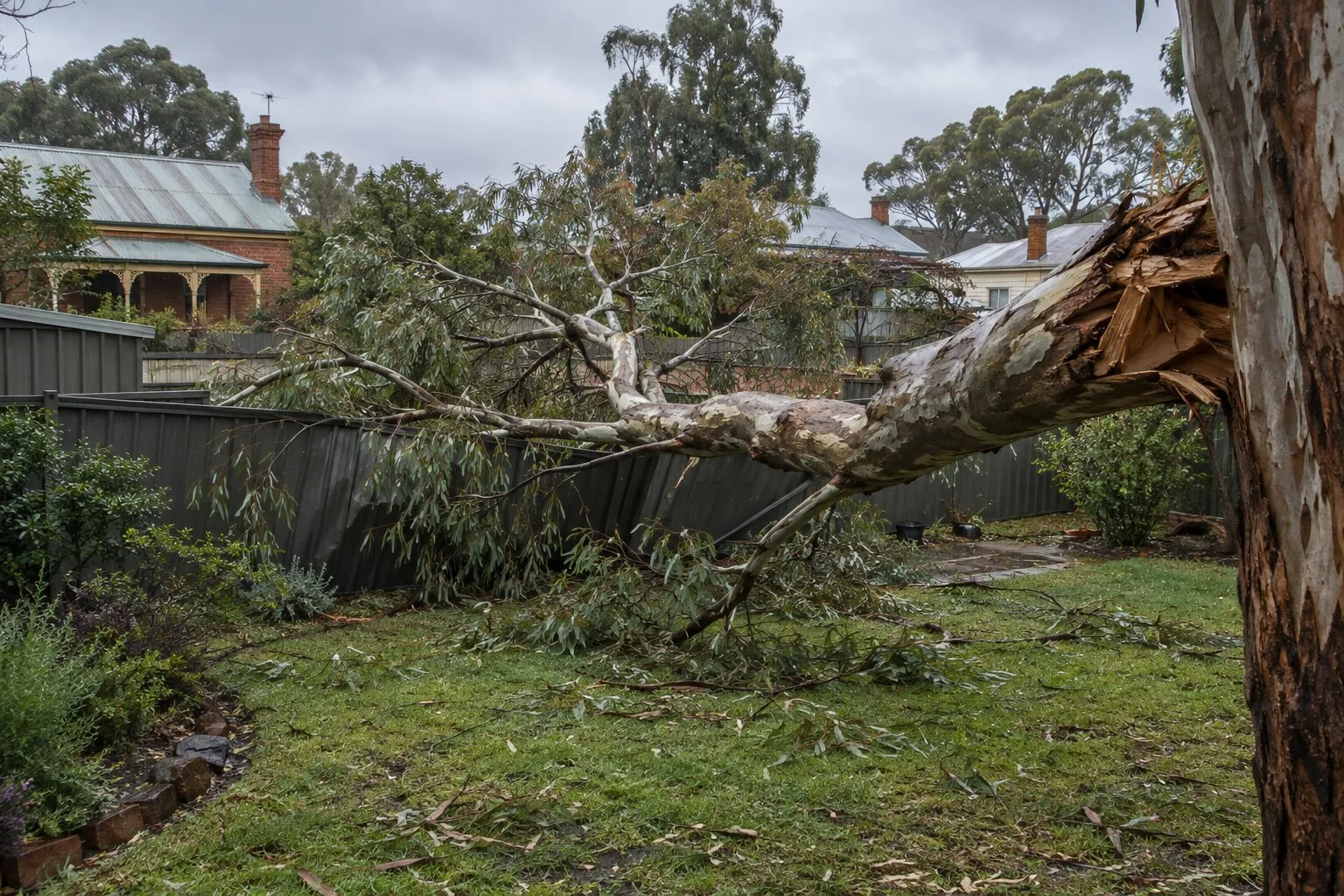 Storm damage tree removal, Bendigo: broken gum limb lying across a damaged backyard fence after a storm